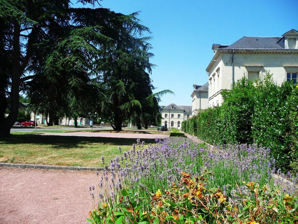 Domaine De Roiffe Hotel Exterior photo